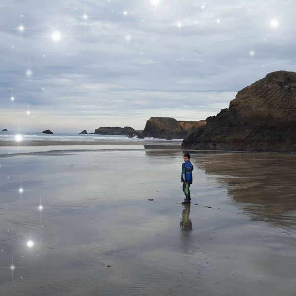 Meet your Posher, Sandy - Picture 1 of 1